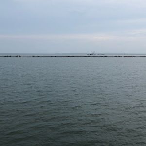 Meet your Posher, Kayle